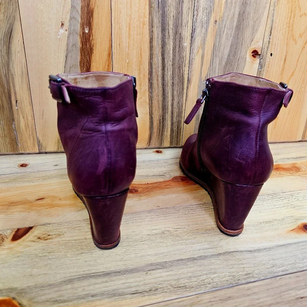 Biala alaina purple